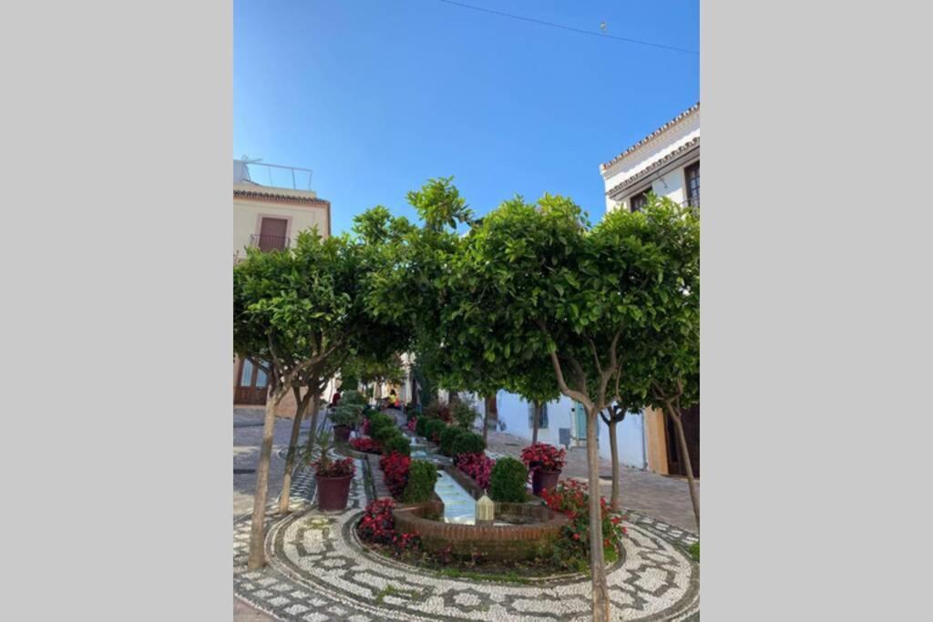 Estepona Seaview Apartment Seletur 外观 照片